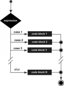 C switch 语句 - 自学教程